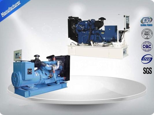 China 200kw 250kva Perkiins Genset Diesel Backup Generator Meccalte Stamford Alternator supplier