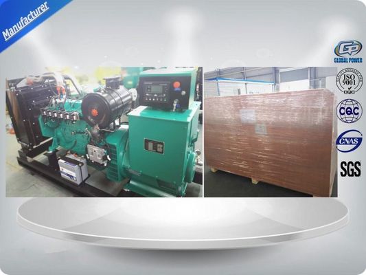 China Global 10kw - 1000kw biomass gasifier with gas generator powered supplier