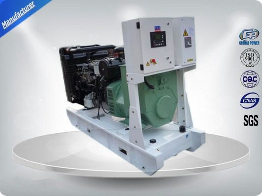 China 14KW/17.5KVA YangDong Diesel Emergency Generator Set YND485D Meccalte Alternator ECP28-M4A supplier