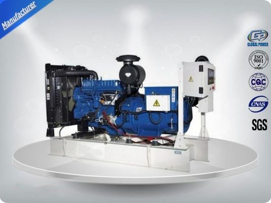 Weatherproof Industrial Diesel Generators Set Professional With OEM / ISO Certification supplier
