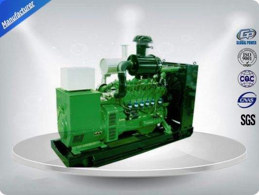 Three Phase Natural Gas Generator Set Small Auto start H Insulation Grade supplier