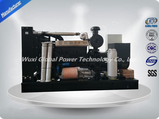 250KW 50HZ 400V 3P 4 Wires Industrial Generator Set With Low Emission supplier